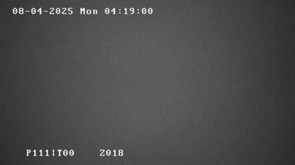 2025-08-04