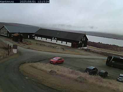 2025-08-01
