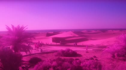 2026-09-11