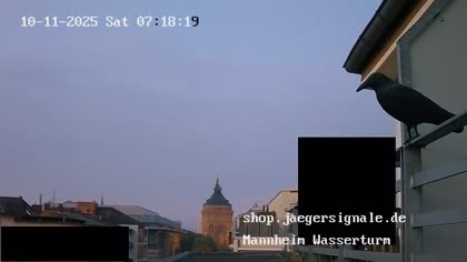 2025-10-11