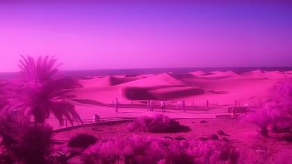 2026-08-12