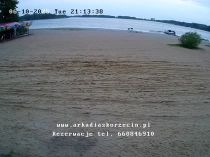 2025-06-10