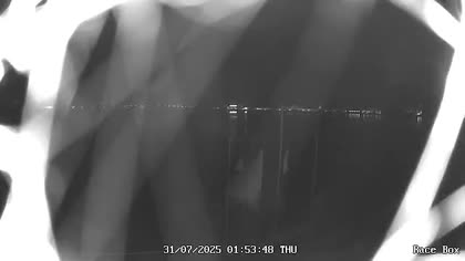 2025-07-31