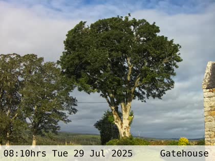 2025-07-29