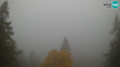 2026-10-10