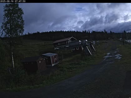 2025-08-16