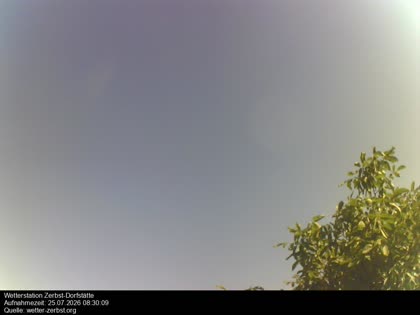 2026-07-25