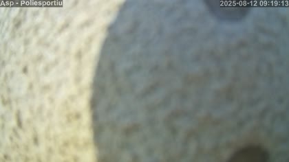 2025-08-12
