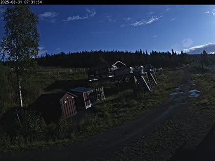 2025-08-31