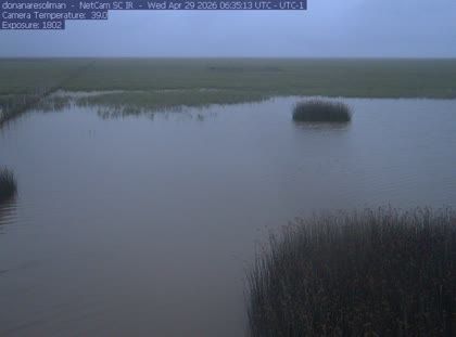 2026-04-29