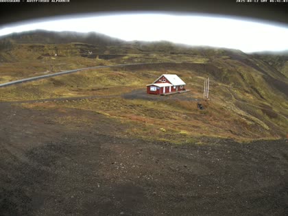 2025-08-12
