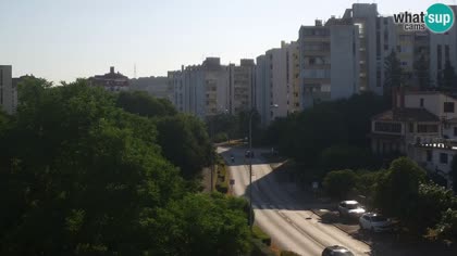 2026-07-16