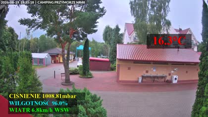 2026-08-19