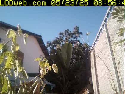 2025-05-23