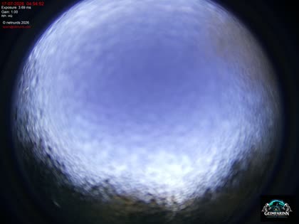 2026-07-17