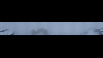 2026-05-12