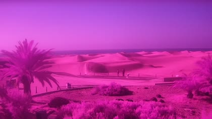2026-06-01