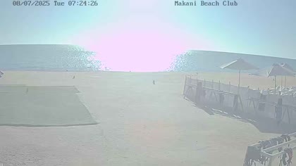 2025-07-08