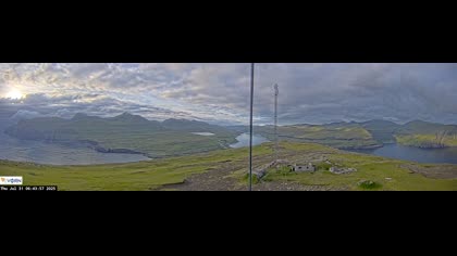 2025-07-31