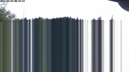 2025-06-29