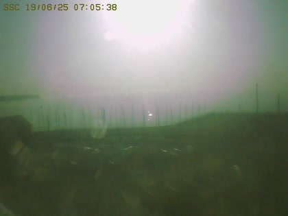 2025-06-19