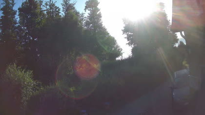 2026-07-08