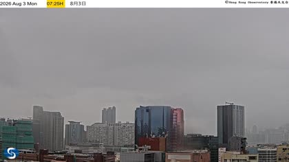 2026-08-03