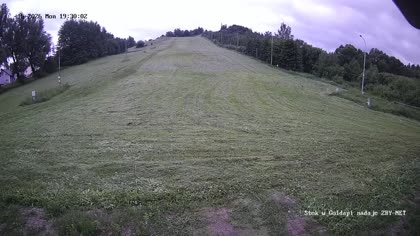 2026-06-15