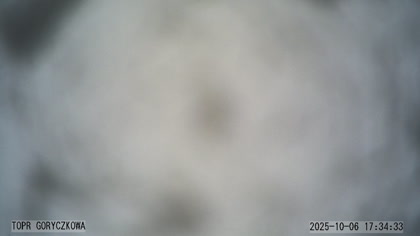 2025-10-06