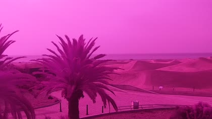 2025-08-06