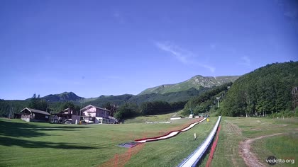 2026-06-13