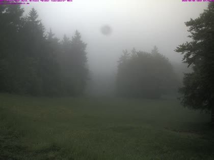 2026-06-05