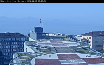 2025-08-12