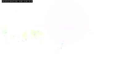 2025-04-20