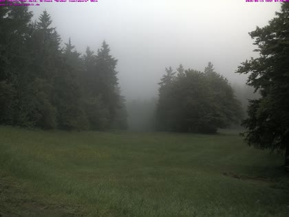 2026-06-13