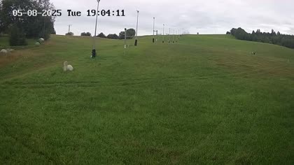 2025-08-05