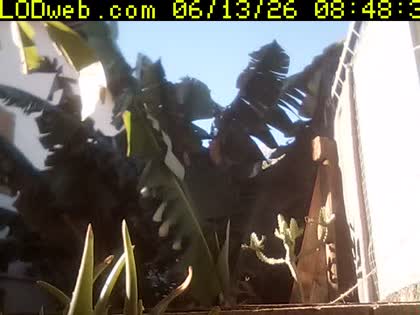 2026-06-13