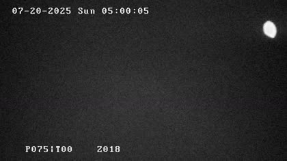 2025-07-20