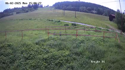 2025-06-03