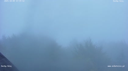 2025-10-09