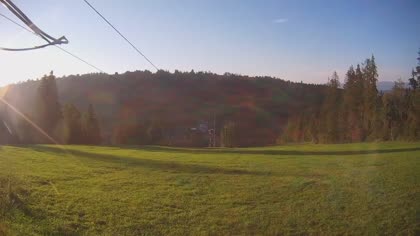 2026-07-29