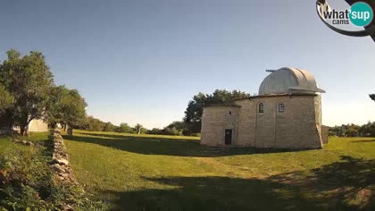 2026-06-08