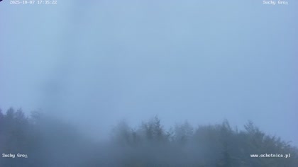 2025-10-07