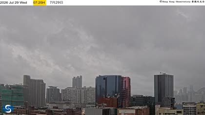 2026-07-29
