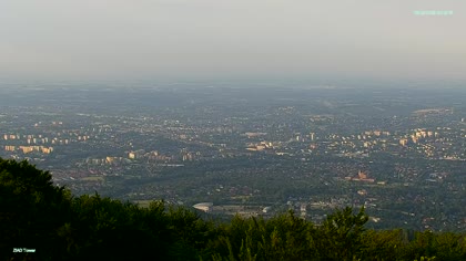 2025-07-03