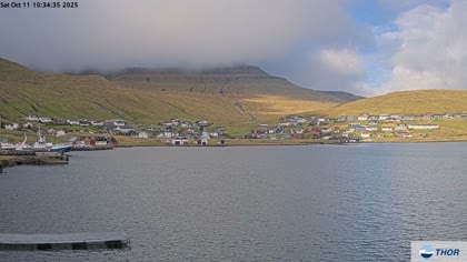 2025-10-11