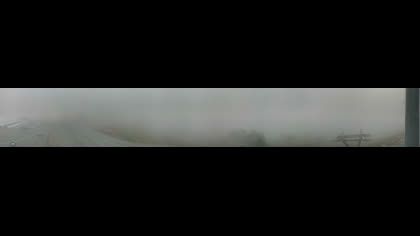 2026-08-08