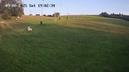 2025-08-09