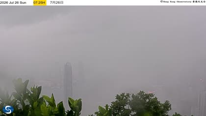 2026-07-26
