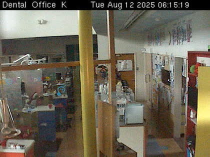 2025-08-11